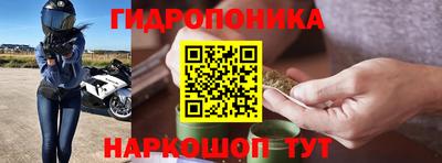 амф Донской