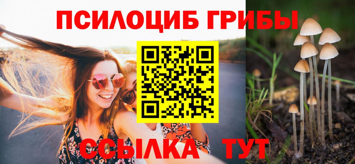 Менделеевск  купить наркотики сайты  Вход с VPN  Псилоцибиновые грибы MAGIC MUSHROOMS 